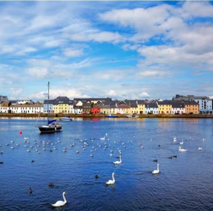 Location Location Location! Apartment Galway Exterior photo